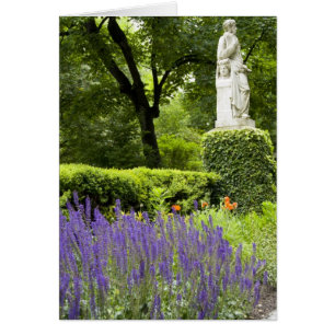 Cartão Espanha, Madrid. Royal Botanic Garden aka Real