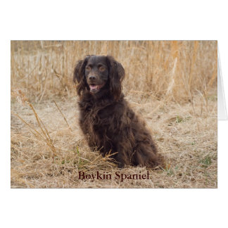 Cartão Espanhol Boykin