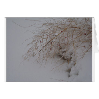 Cartão Espargos que vão semear