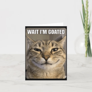 Cartão Espera Gato Divino Gato Engraçado Bobo Olhando Gat
