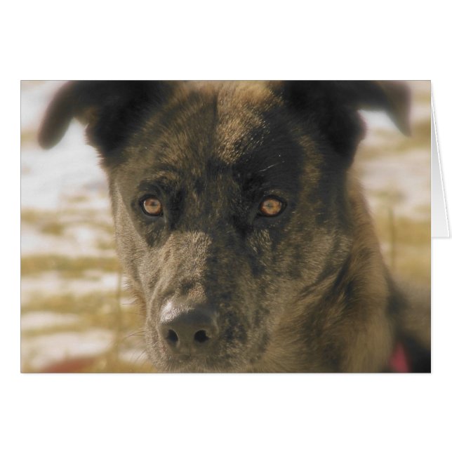 Cartão Esperança (Frente Horizontal)