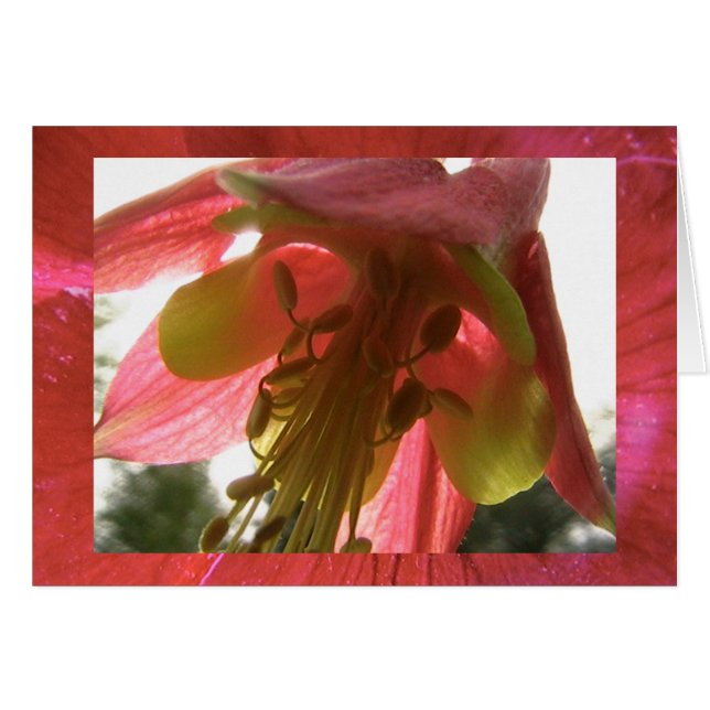 Cartão esperança (Frente Horizontal)