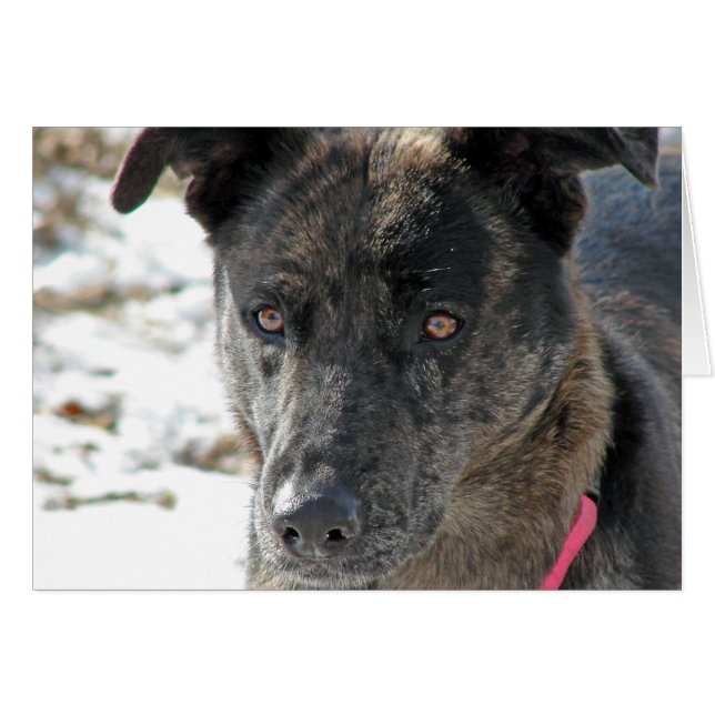 Cartão Esperança (Frente Horizontal)