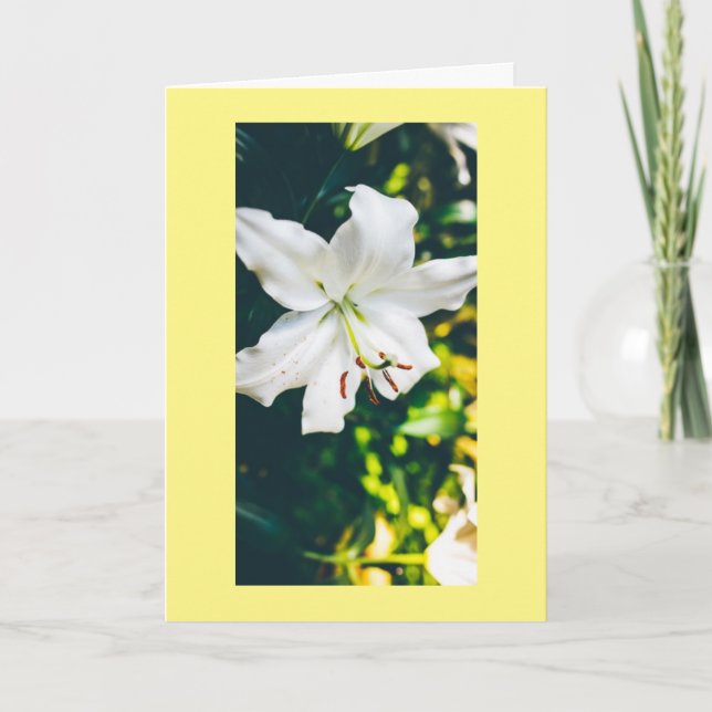 CARTÃO ESPERANÇA E MAIS DESEJO PARA VOCÊ NA PÁSCOA (Frente)