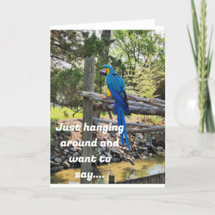 CARTÃO ESPERANDO E QUEIRA DIZER FELIZ ANIVERSÁRIO