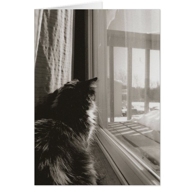 Cartão Esperando no Sol (Frente)