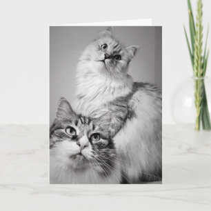 Cartão Esperando pacientemente por Bolo (aniversário do c