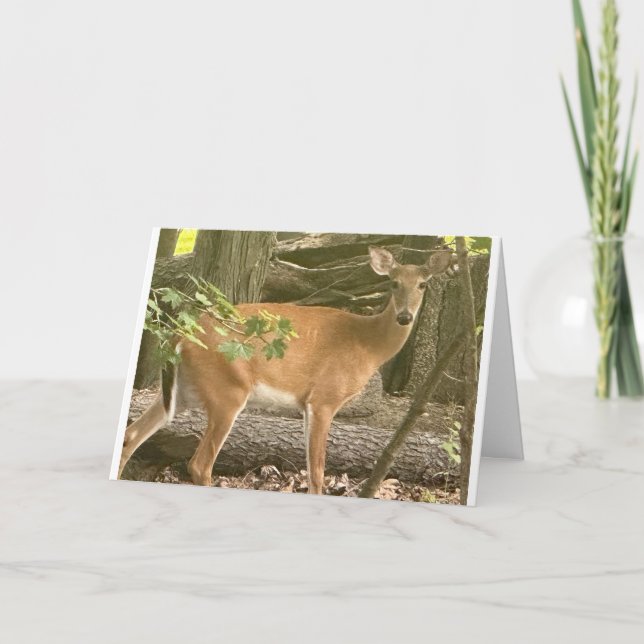 CARTÃO "ESPERANDO PARA DIZER FELIZ ANIVERSÁRIO" (Frente)