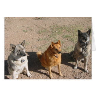 Cartão Esperando por doces