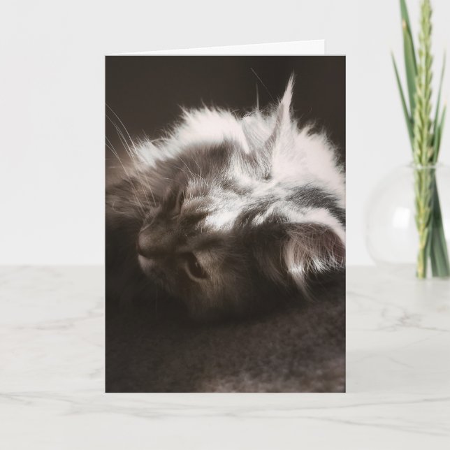 Cartão Esperando que as coisas pesquisem/pensem no seu ca (Frente)