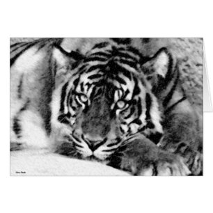 Cartão Esperando ser