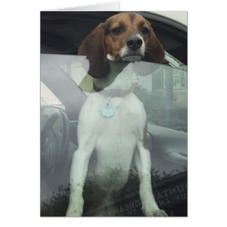 Cartão Espere por mim