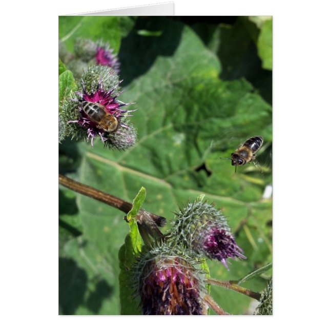 Cartão espere por mim (Frente)