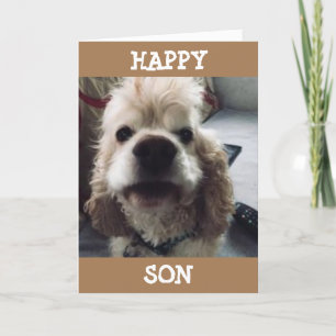 CARTÃO ESPERO QUE ESTE SEJA O MELHOR ANIVERSÁRIO DE TODOS