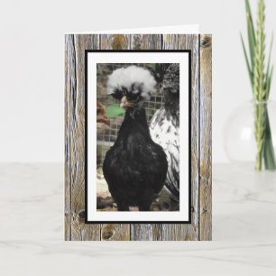 Cartão Espero que o seu aniversário seja um óvulo, Engraç