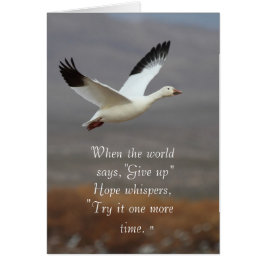 Cartão Espero que os sussurros tentem mais uma vez