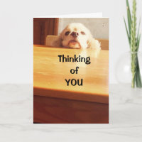 ESPERO QUE SE SENTE MELHOR EM BREVE!