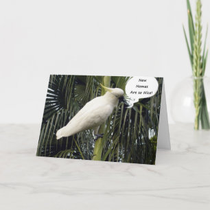 CARTÃO ESPERO QUE SUA NOVA CASA SEJA COMFY=PARABÉNS