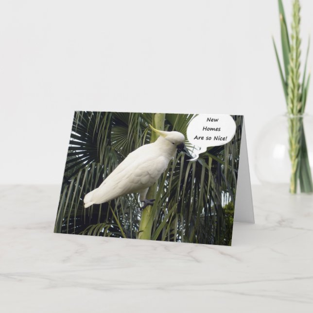 CARTÃO ESPERO QUE SUA NOVA CASA SEJA COMFY=PARABÉNS (Frente)