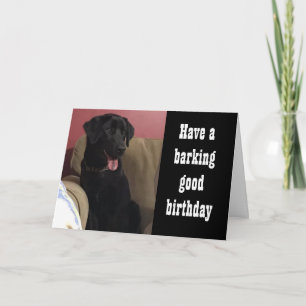 CARTÃO ESPERO QUE TENHA "MUITOS TRATADOS" **ANIVERSÁRIO**