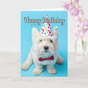 Cartão Espero Que Tenha Um Feliz Aniversário