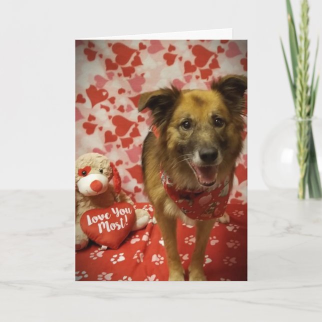 CARTÃO **ESPERO QUE VOCÊ DIGA SIM À MINHA PERGUNTA** NO D (Frente)