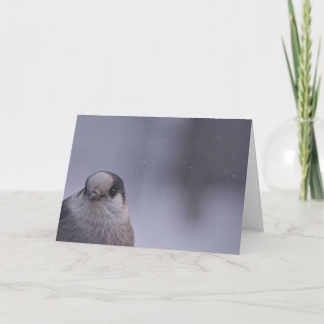 Cartão espiada (Frente)