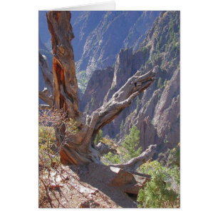 Cartão Espires de madeira e pedra