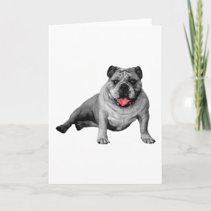 Cartão Espírito de Férias do Bulldog com Detalhes Vermelh