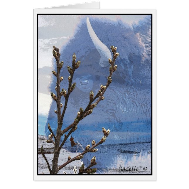 Cartão Espírito do búfalo (Frente)