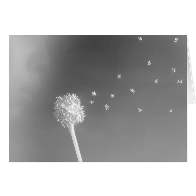 Cartão Espírito do vento (Frente horizontal)