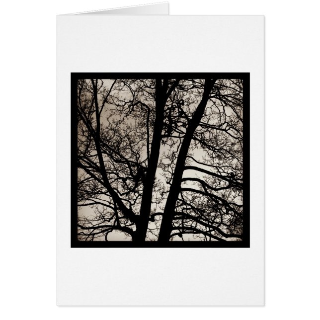 Cartão Espíritos de árvores (Frente)