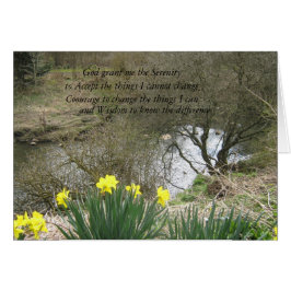 Cartão espuma de serenidade