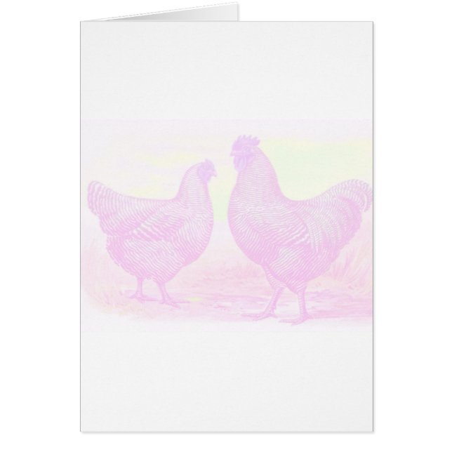 Cartão Espuma rosa (Frente)