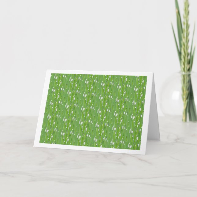 Cartão Esqueça-me de Noções (Frente)