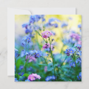 Cartão Esqueçam-me-não-flores