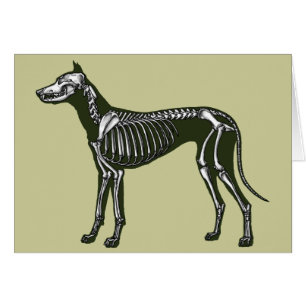 Cartão Esqueleto de great dane