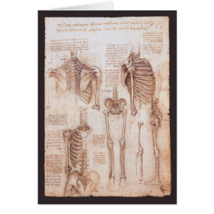 Cartão Esqueleto de Ossos da Anatomia Humana de Leonardo 