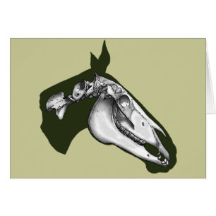 Cartão Esqueleto do cavalo