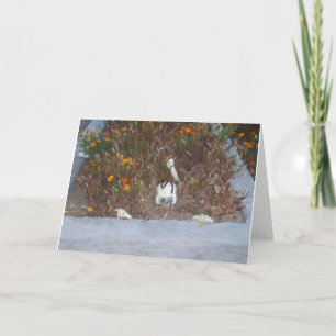 Cartão Esqueleto falso em Marigolds Foto de decoração