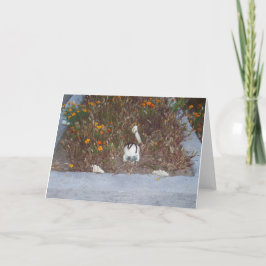 Cartão Esqueleto falso em Marigolds Foto de decoração