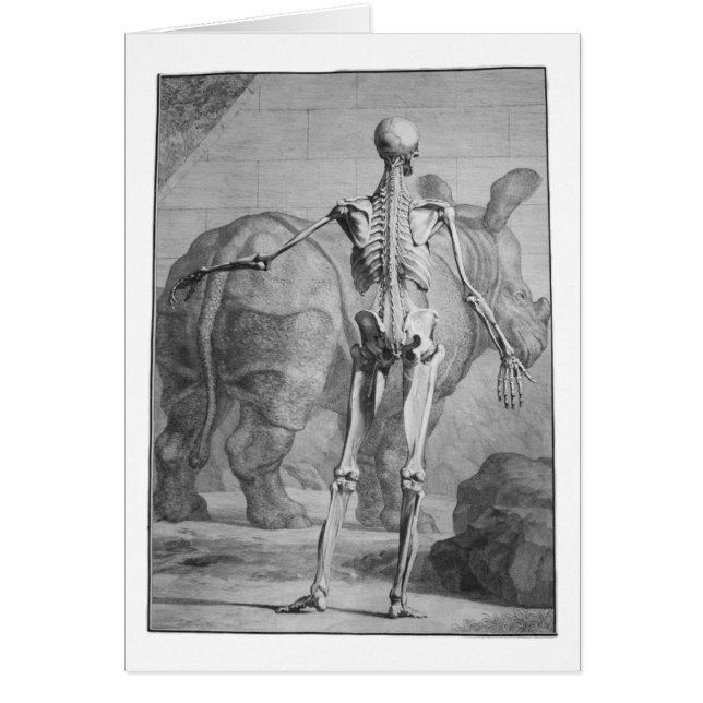 Cartão Esqueleto & rinoceronte (Frente)