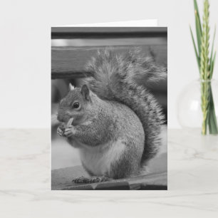 Cartão Esquilo