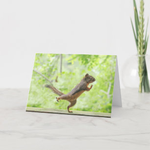 Cartão Esquilo Bonito Fazendo Tai Chi