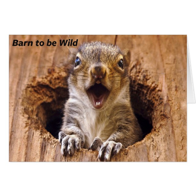 Cartão Esquilo Chocado (Frente Horizontal)