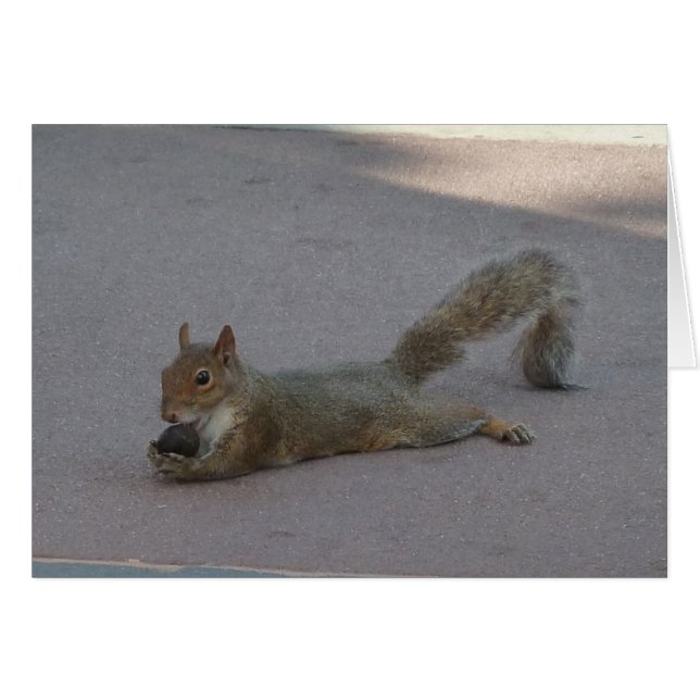 Cartão Esquilo com a sua noz (Frente horizontal)