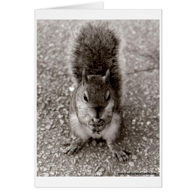 Cartão Esquilo com Nut (Frente)