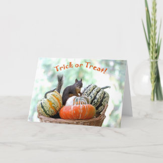 Cartão Esquilo de Halloween