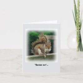 Cartão Esquilo Fome à procura de uma bolsa gratuita