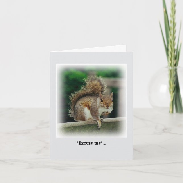 Cartão Esquilo Fome à procura de uma bolsa gratuita (Frente)